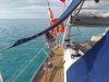 Velero usado Allures 44