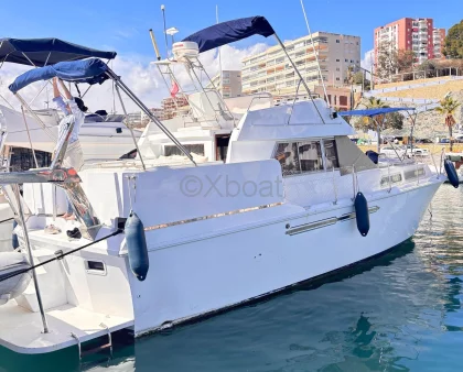 Barco a motor usado PRINCESS 41