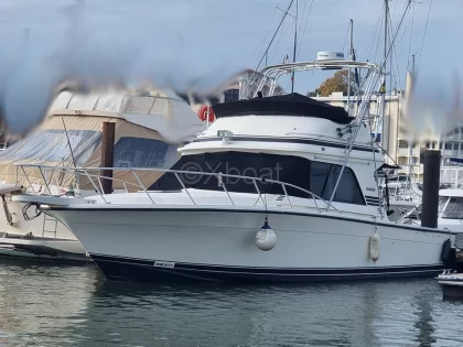Barco a motor usado BLACKFIN 38 CONVERTIBLE