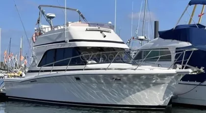 Barco a motor usado RIVIERA 33 FLYBRIDGE