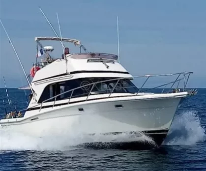 Barco a motor usado RIVIERA 33 FLYBRIDGE