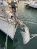 Velero usado DUFOUR 385