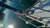 Velero usado DUFOUR 40 PERFORMANCE
