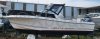 Barco a motor usado WHITE SHARK 236 