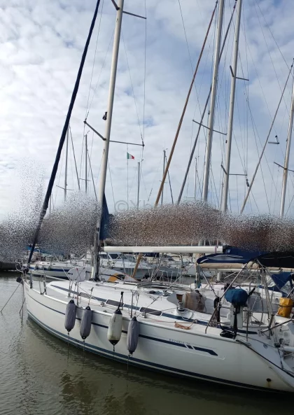 Velero BAVARIA 36 CRUISER