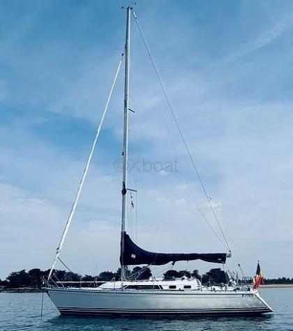 Velero WINNER 11.20