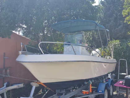 Barco a motor usado WHITE SHARK 175
