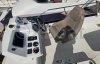 Barco a motor usado JEANNEAU VELASCO 37