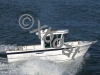 Ficha técnica ANTARES 700 PECHE