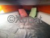 Ficha técnica SUN DREAM 28