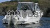 Ficha técnica WELLCRAFT COASTAL 290