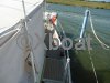 Ficha técnica SUPER MARAMU