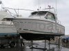 Ficha técnica ALBATROS 800